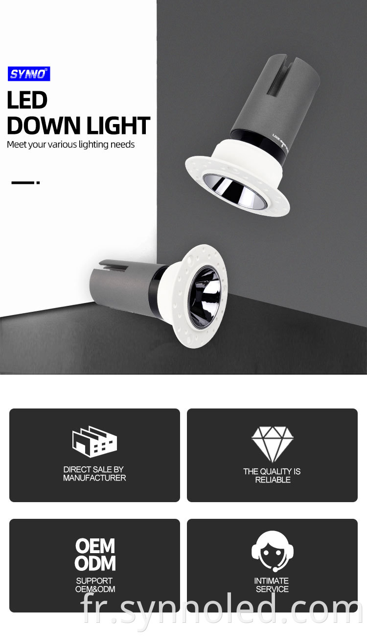 Trimless Led Downlight Details From Synno Lighting